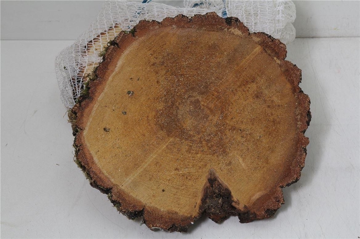 <h4>Deco Berkenschijf 28-32cm</h4>