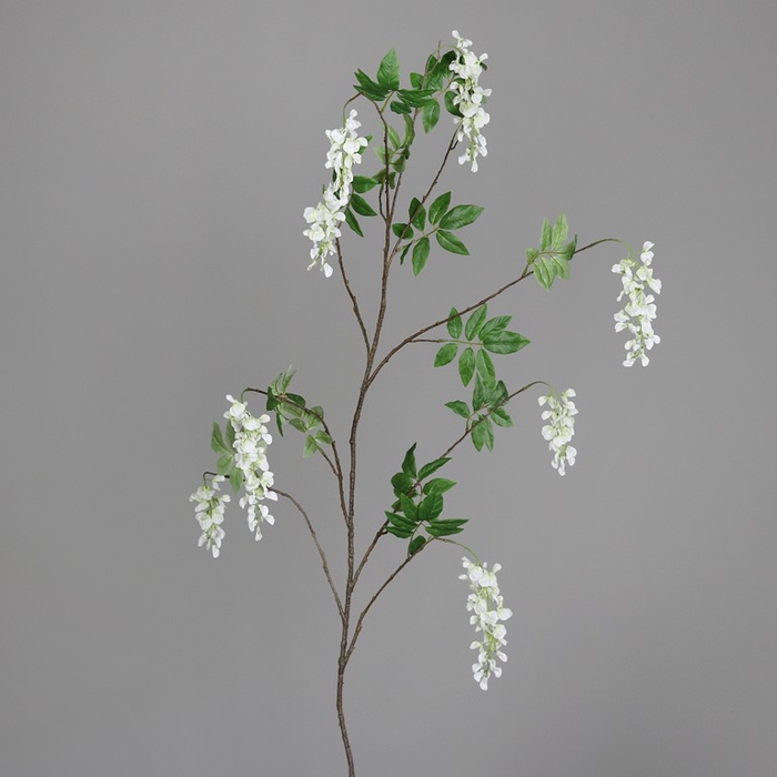 <h4>Wysteria hanger 160cm cream</h4>