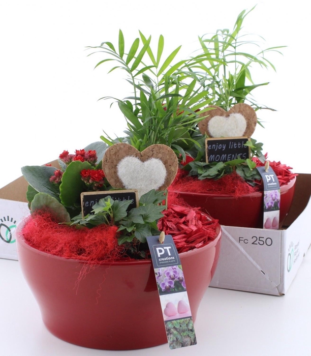 <h4>ARR KAMERPL</h4>