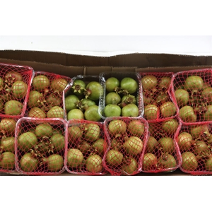 Sier Granaatappel Red Green X10 P Box