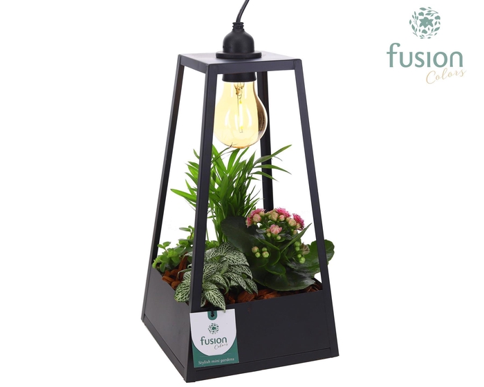 <h4>Lantaarn met lamp en Arrangement</h4>