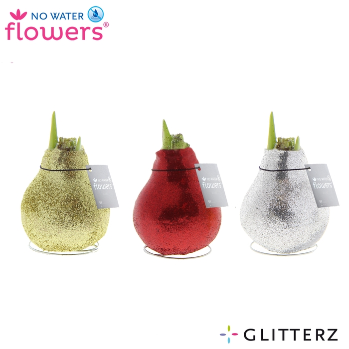 <h4>No Water Flowers Glitterz® Goud / Rood / Zilver</h4>