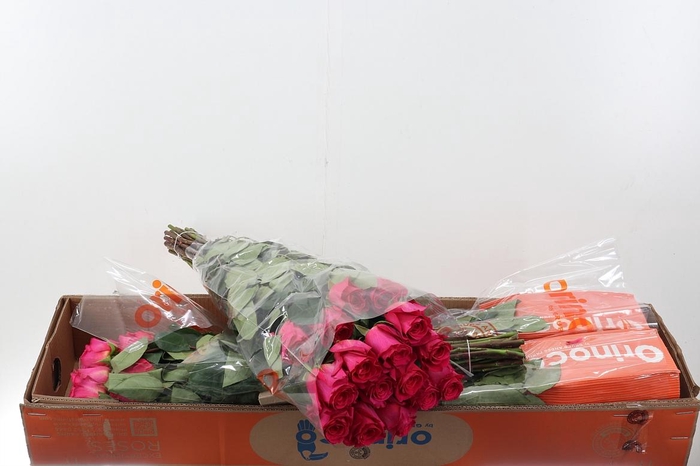 <h4>R Gr Pink Floyd Box Fu</h4>