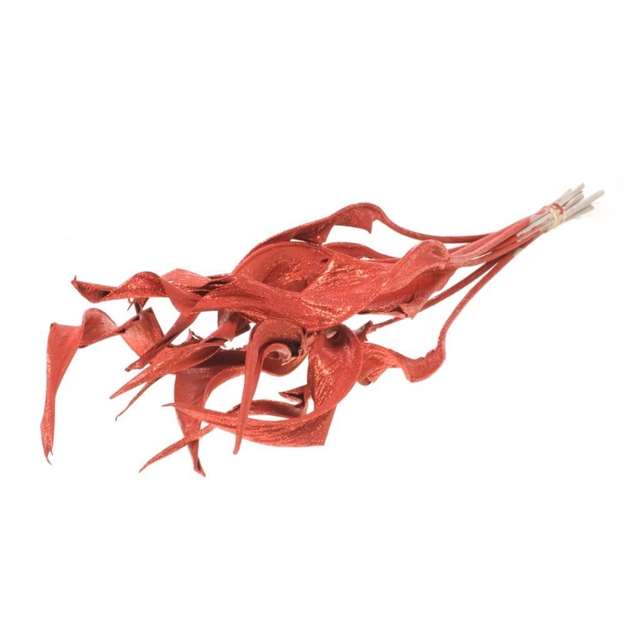 <h4>Strelitzia 10pc red glitt</h4>