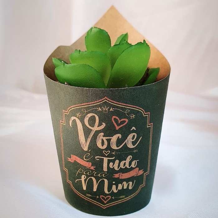 <h4>CACHEPOT KRAFT 10 CM X 06 CM C/20 VOCE E TUDO PRA MIM</h4>