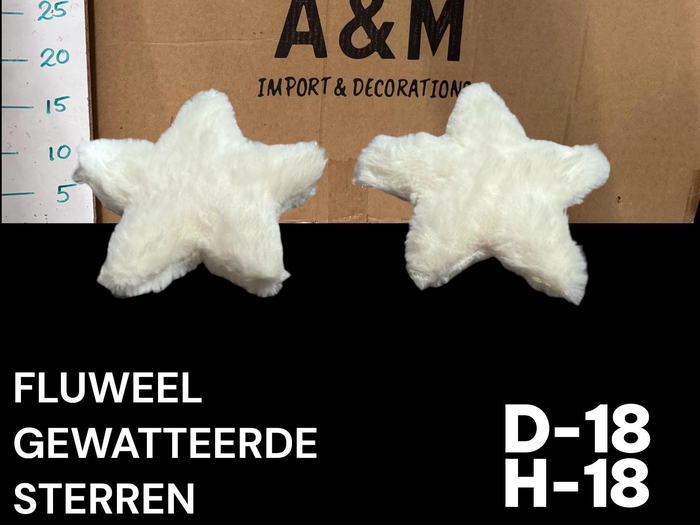 <h4>HUIS EN TUINDECO H%</h4>