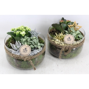 arr2 PL - Glas bose touw x3 - goud/zilver