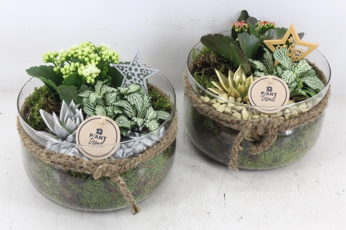 <h4>arr2 PL - Glas bose touw x3 - goud/zilver</h4>