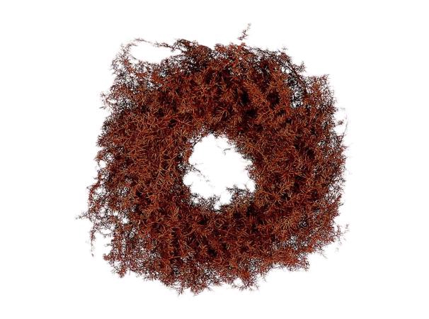 Wreath Asparagus D20