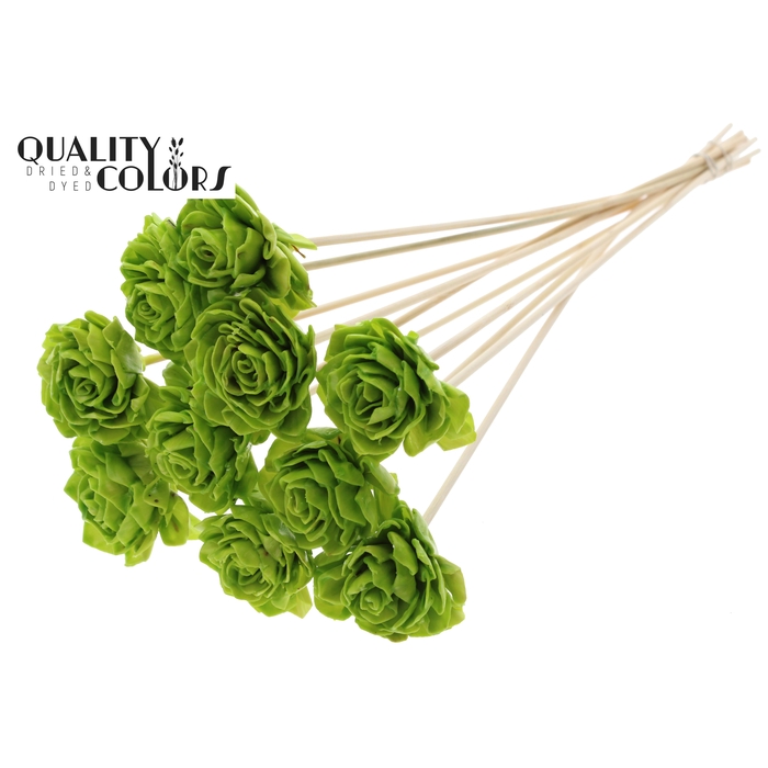 <h4>Shola Dahlia 6cm on stem Wax Light Green</h4>