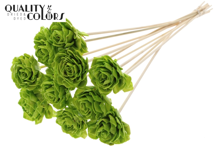 Shola Dahlia 6cm on stem Wax Light Green