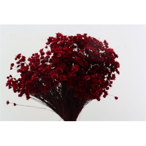 Dried Glixia Red Bunch