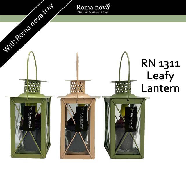 <h4>arr4 Hyacint RN - Leafy Lantern</h4>