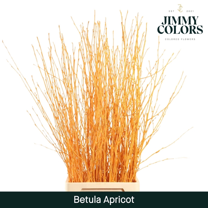 <h4>Betula L120 Apricot</h4>
