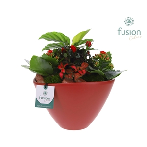 Pot keramiek Oval Large marsala red Love met arrangement