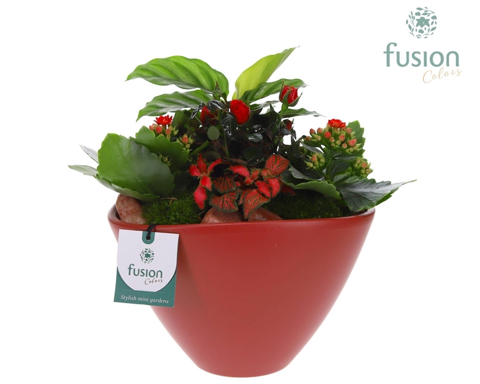 <h4>Pot keramiek Oval Large marsala red Love met arrangement</h4>