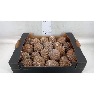 Decoratieve materialen   ...H%