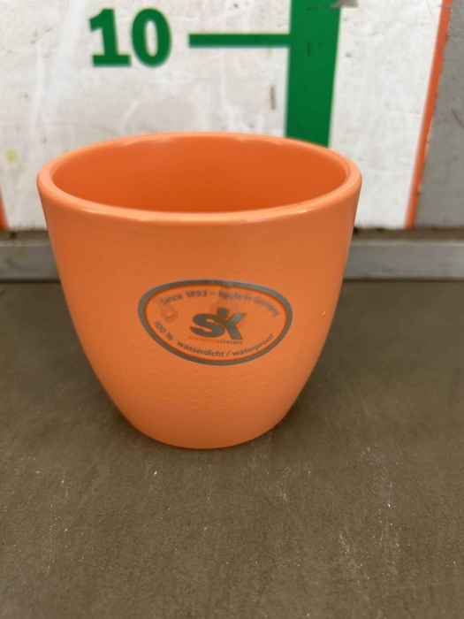 <h4>KERAMIEK POT ZALM D7XH7CM</h4>