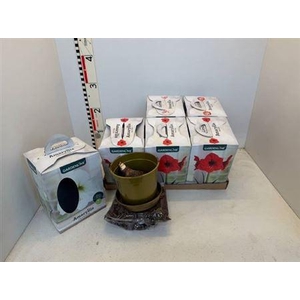 arr8 Bloembol Hipp Home Package