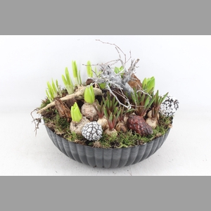 arr4 Bollenmix VL - Kunstst. ribbel schaal L x2