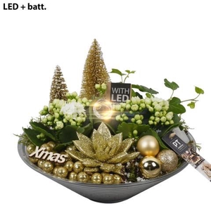 PTCHG5721 Arrangement Christmas Gold in glas schaal