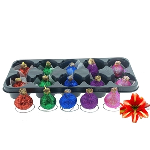 BLOEMBOL HIPPEASTRUM