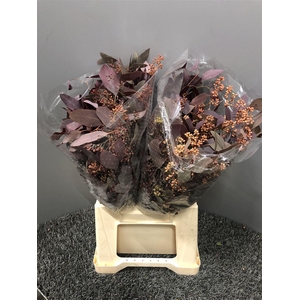 Euca Col Popu Bes Abs 150