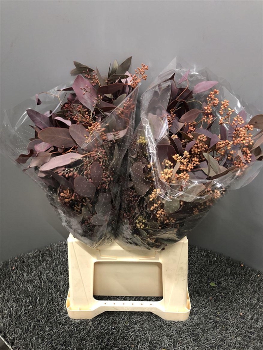 <h4>Euca Col Popu Bes Abs 150</h4>