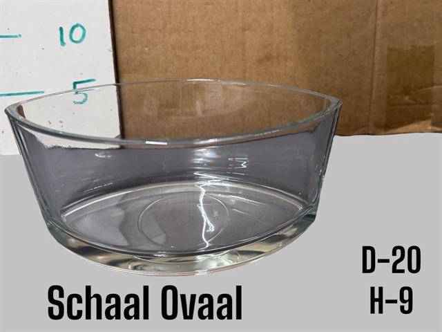 <h4>GLAS SCHAAL D20XH9</h4>