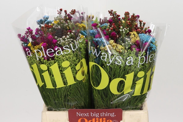 <h4>BQ Kaaps Groen Mandarin</h4>