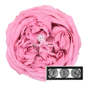 Kabukyza Per 3 Pin04