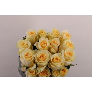 R Gr Creme De La Creme