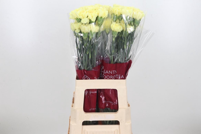 Di St Hermes Yellow