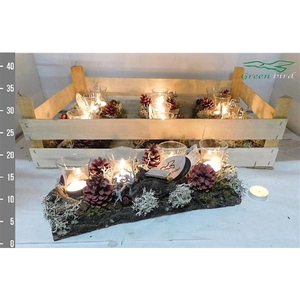 Arrangement Kerst Plateau Rood
