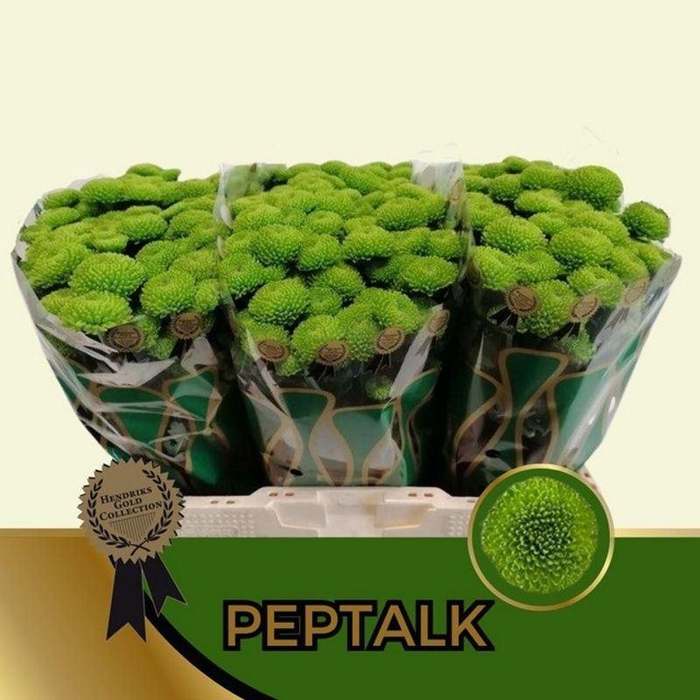 <h4>CHR SAN AAA PEPTALK</h4>