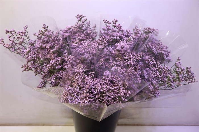 <h4>Lim Mr Silver Pink X5</h4>