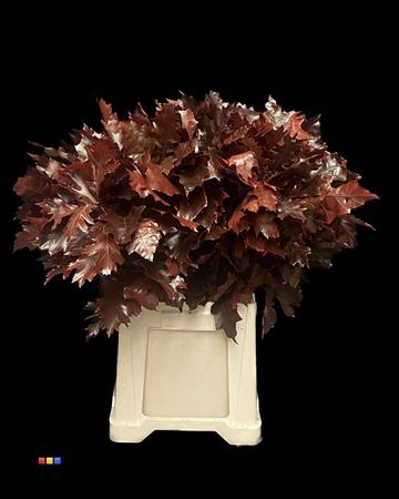 <h4>Eikeblad Red 80cm</h4>