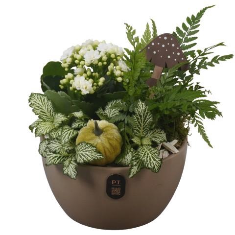<h4>PTHI3247 Arrangement Autumn Indoor in keramiek schaal</h4>