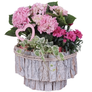 Mothersday Arr. Outdoor Wooden White Bark Pot on Stand Ø24cm 3PP