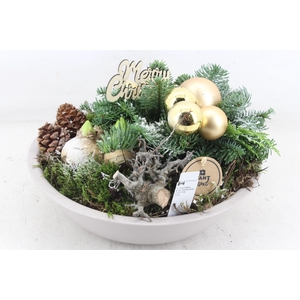 arr4 Hyacint PL - Zink taupe schaal Kerst Gold