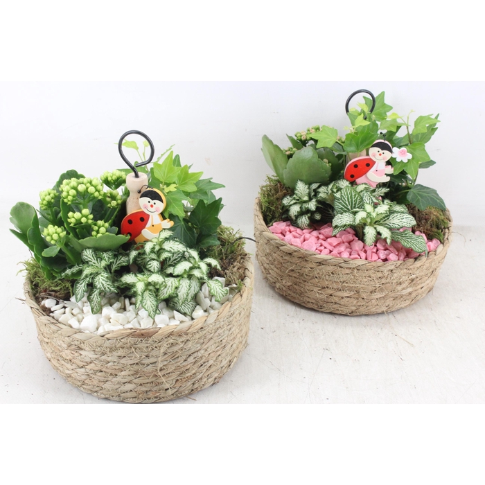 <h4>Arr2 Pl - Jute Etagere 338/3 - Roze/wit</h4>