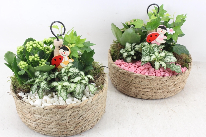 Arr2 Pl - Jute Etagere 338/3 - Roze/wit