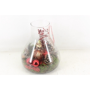 arr4 Amaryllis MB - Glas Paris red
