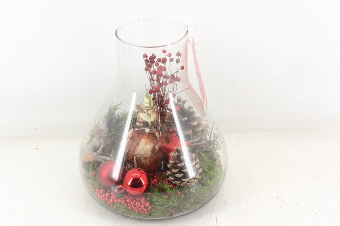 <h4>arr4 Amaryllis MB - Glas Paris red</h4>