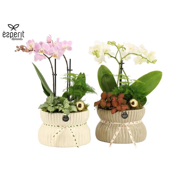 <h4>Arrangementen Kerst H%</h4>