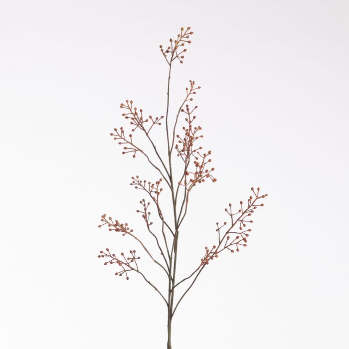 <h4>AF Rosehip Coral 123cm Oran/Re</h4>