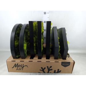 Decoratieve materialen   ...H%