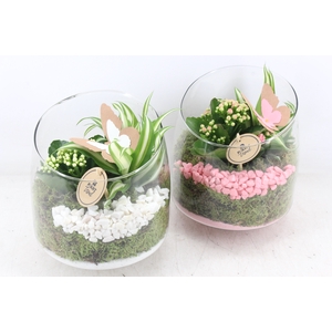 arr2 PL - Glas elegant schuin - roze/wit