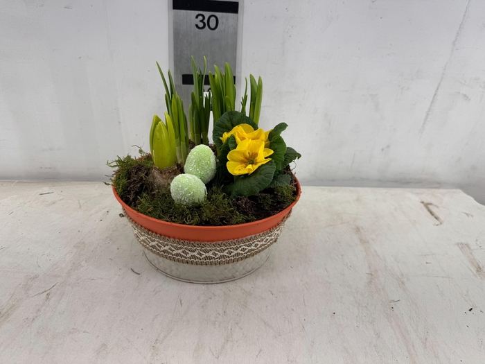 <h4>ARR PL IN SCHAAL</h4>