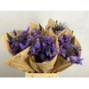 DF BOUQUET LAVENDER 50CM